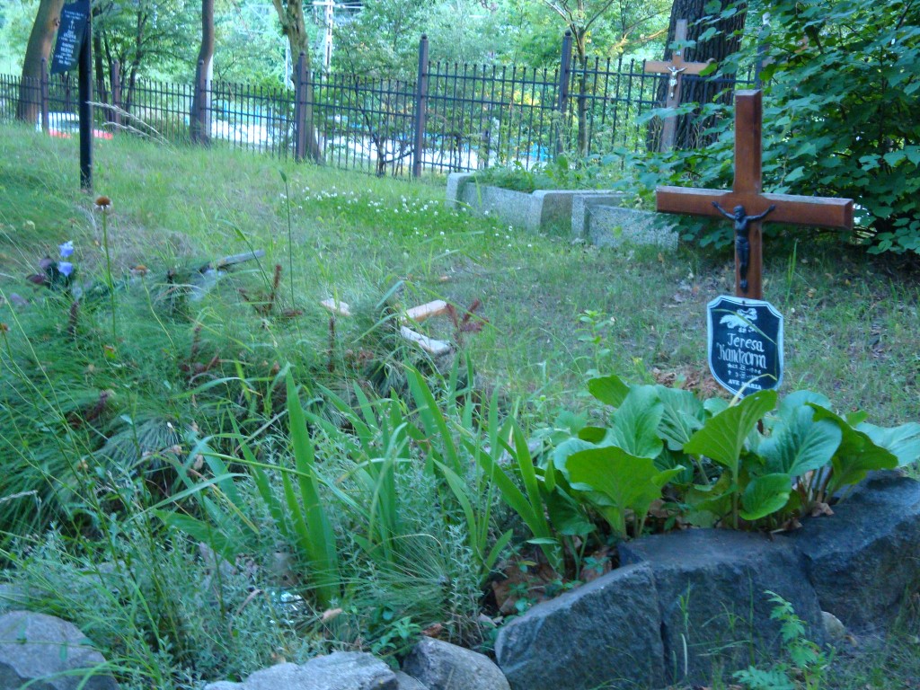 cmentarz gdynia kolibki